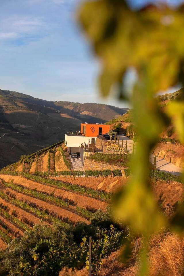 Quinta Vale De Lobos Bed & Breakfast Folgosa  Ngoại thất bức ảnh