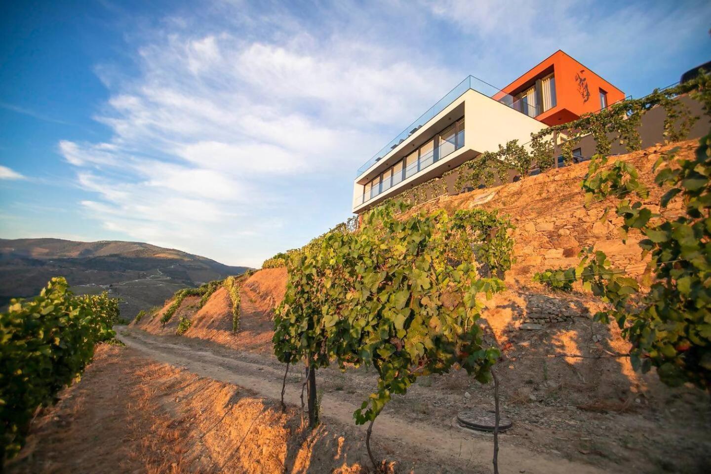 Quinta Vale De Lobos Bed & Breakfast Folgosa  Ngoại thất bức ảnh